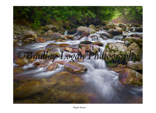 Pisgah Stream Greeting Cards, Box of 8