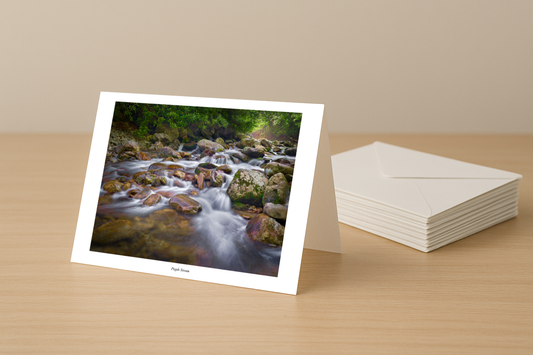 Pisgah Stream Greeting Cards, Box of 8
